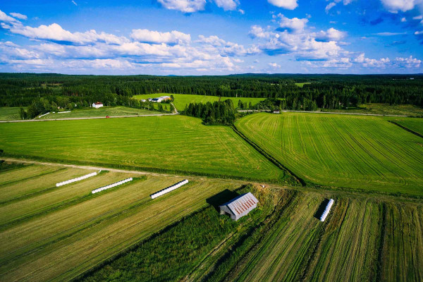 Segregar Fincas · Topógrafos Servicios Topográficos y Geomáticos Los Silos